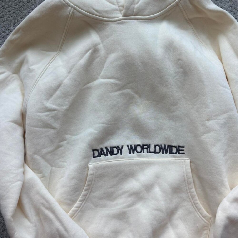 SOLD dandy worldwide hoodie